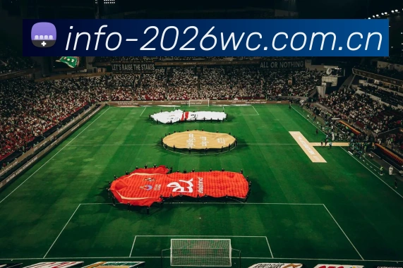 2026世界杯官方数据服务